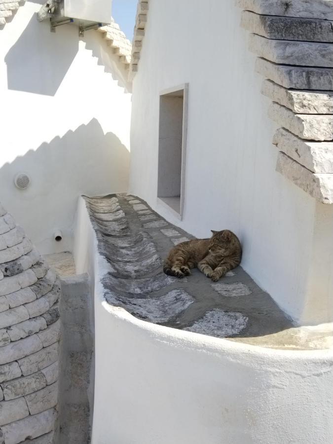 Masseria Catucci Agriturismo Alberobello Dış mekan fotoğraf