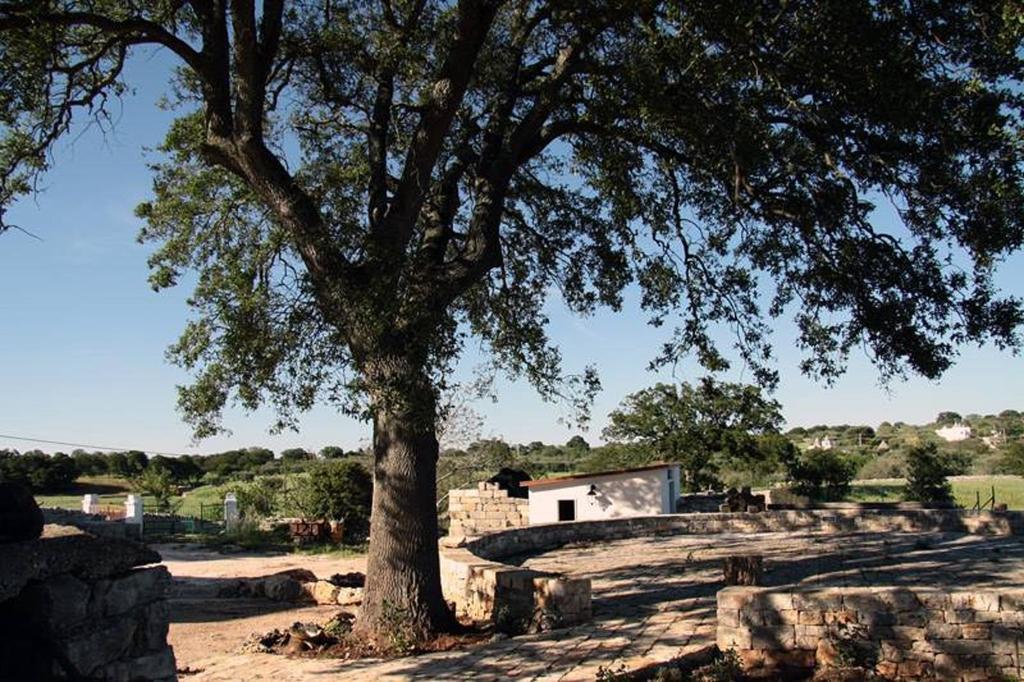 Masseria Catucci Agriturismo Alberobello Dış mekan fotoğraf